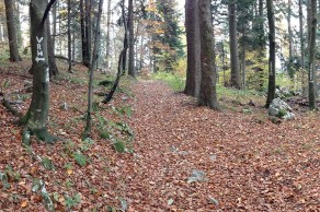 Razpotje pri Stenah sv. Ane