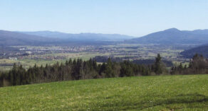 Pogled na Ribniško polje iz Sinovice.