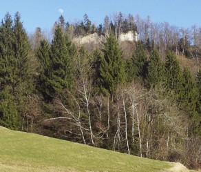 Razvaline ortneškega gradu.